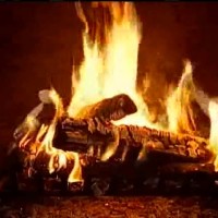 Use your Coffee Grounds to make a Fireplace Log